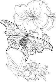 Provide kids these 50 free printable butterfly coloring pages. Pin On 101coloring Com