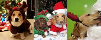 images?q=tbn:ANd9GcTTUXBFPo2F2A-6bY6aDPe