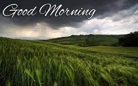 Maybe you would like to learn more about one of these? Rain Is Coming Good Morning Wallpaper Rainy Season Good Morning Images Nature 1440x900 Wallpaper Teahub Io