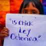 Salta aprobó una ley contra crímenes sexuales a niñas y mujeres indígenas