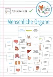 Organe Zuordnungsaktivitat Memory Spiel Unterrichtsmaterial Im Fach Biologie In 2020 Biologie Klassenzimmer Anatomie Lernen Biologie