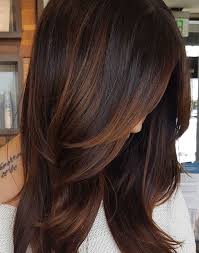 Rich, brilliant permanent hair color crafted in italy. Cocoa Brown Dark Cinnamon Low Lights Hair Color Google Search Hair Highlights Dark Hair With Highlights Hair Styles