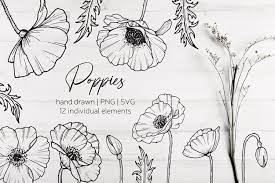 Vintage ribbon hand drawn vectors eps. Poppy Flowers And Leaves Svg Png Hand Drawn Doodle Flowers 582288 Cut Files Design Bundles