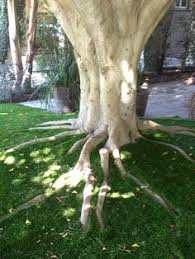The idea is to create a safe perimeter around the base of the tree where the lawn mover doesn't need to trim. 12 Residential Synthetic Grass Ideas Synthetic Grass Grass Save Water