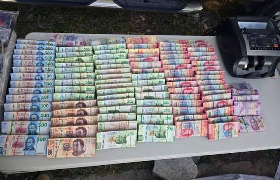 🚨 Un operativo de fuerzas federales en Peñón Blanco, Durango, permitió  asegurar más de 20 mil dosis de drogas, además de armas, cartuchos, equipo  táctico y un vehículo. En el despliegue participaron