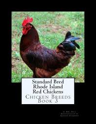 Rhode island red chicken is an american dual purpose chicken breed which was developed in rhode island and massachusetts in the mid 1840s. Standard Bred Rhode Island Red Chickens D E Hale 9781515247883