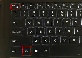 How To Use Fn Key Function On Laptop Keyboard