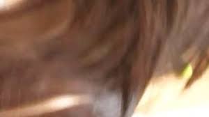 Shy student blossoms for free. Femaleagent Hd Shy Student Blossoms Hq Mp4 Xxx Video