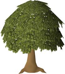 How To Grow Dark Oak Trees In Minecraft: A Simple Guide - Playbite