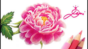 Pfingstrose Zeichnen Lernen How To Draw A Peony Rose Peonia Drawing Kak Se Risuva Bozhur Youtube