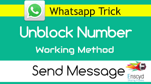 If you receive an automated response (like you sometimes do if someone is in do not disturb mode) to a message you send, good news! How To Send Message To Blocked Number On Whatsapp Trick Youtube