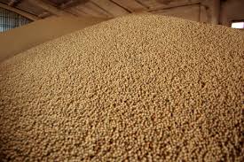 Soybeans