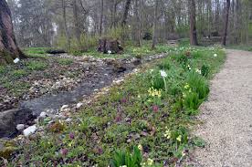 Erst 1977 wurde mit umfangreichen baumaßnahmen zu dessen erstellung begonnen. Gartenrundgang Universitat Regensburg