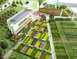 Durham College Centre For Food By Gow Hastings Durham College College Architecture Landscaping Company