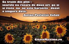 Fără a fi neapărat niște reguli. Sa Traim Din Plin Soarele Nu Rasare De Doua Ori Pe Zi Si Viata Nu Ne Este Harazita Dacat O Singura Data Citate Maxime