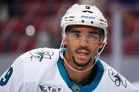 A year before the birth of their daughter, evander announced that anna had suffered a miscarriage at 26 weeks and named the child eva. Nhl To Investigate Allegations Sharks Evander Kane Gambled On Games Chico Enterprise Record