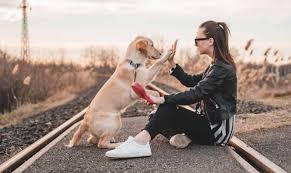In this one me and my girlfriend ask each other deep questions about life, love, the past and the future. How To Connect With Your Dog On A Deeper Level Superb Dog