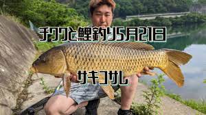 チワワと鯉釣り5月21日(サキコサレ) - YouTube