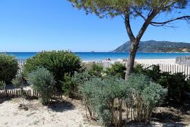 La Plage Des Sablettes A La Seyne Sur Mer Var Belle Plage Ville France Seyne