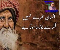 Tེaེbེaེsེuེmེ Wེrེiེtེeེsེ