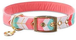 Well Groomed Train Dog Ideas Dogoodbv Fancydogcollar Chevron Dog Collar Fancy Dog Collars Dog Collar