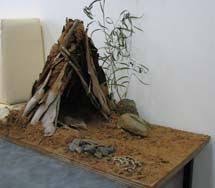 Myrtleford Aboriginal Shelter Aboriginal Art For Kids Aboriginal Education Indigenous Studies