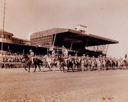 The international camel and ostrich races is cancelled in 2020. Latest News Turf Paradise