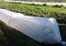 Avec l'hiver qui arrive à grands pas, le jardinier a de moins en moins de semis et plantations à faire au potager. Le Potager En Novembre