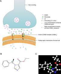 Image result for Etomidate
