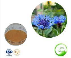 10 1 Cornflower Extract Centaurea Cyanus Extract China Cornflower Extract Centaurea Cyanus Extract Made In China Com