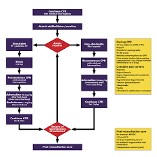 Dorsey dp, bowman sm, klein mb, archer d Algorithms Paediatric Advanced Life Support