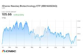 Biotech Stocks Soar Following Shock Biogen Drug Announcement