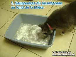 Ramassez les blocs de litière agglomérés par l'urine. Une Litiere Pour Chat Gratuite Faite Avec Du Papier Journal Litiere Chat Chat Gratuit Chat