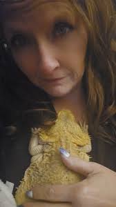 What is the life expectancy of bearded dragons purchased from PetSmart?