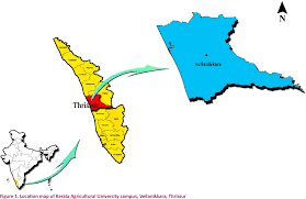 Kerala travel forum kerala photos kerala map kerala guide. Figure 1 From Butterflies Of Kerala Agricultural University Kau Campus Thrissur Kerala India Semantic Scholar