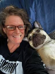 French Bulldog Photos and Information