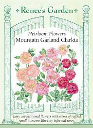 Mountain Garland Clarkia Heirloom Flowers Renee S Garden Seeds