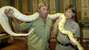 Young steve irwin grew up in the company of not just crocodiles but other types of reptiles as well. Stich In Die Brust Crocodile Hunter Steve Irwin Von Rochen Getotet