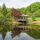 OUTDOOR Sound Bath in Breathtaking Setting