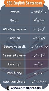 English Sentences With Urdu In 2020 Learn English Words English Vocabulary Words English Learning Books