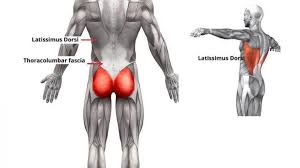 Pin On Exercises