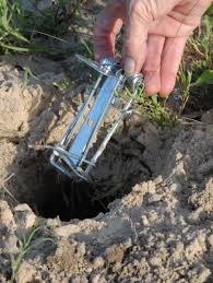 What does vulnera sanentur do? Outdoors Gophers Can Cause Serious Problems If Allowed To Get Out Of Hand Sports Athensreview Com