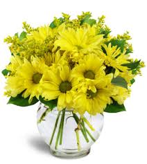 We did not find results for: Paoli Pa Florist Same Day Flower Delivery In Paoli Pa Flowers By Priscilla