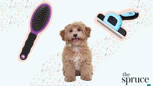 A slicker brush removes hair from the undercoat as well as the exterior layer. The 9 Best Dog Brushes Of 2021