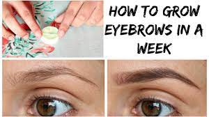 Will my eyebrows grow back???? How To Grow Your Eyebrow In A Week Naturally Very Effective Youtube
