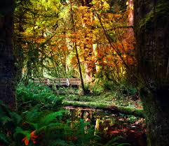 Maybe you would like to learn more about one of these? Pacific Northwest Archives Marcie In Mommyland