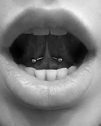 Pin By Baylee Ann Mccallen On Body Mods Web Piercing Tongue Web Piercing Mouth Piercings