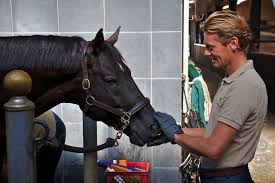 Edward gal, who wrote a chapter on his own in the history of dressage with his stellar horse totilas gal has been incredibly tight lipped to the press about his feelings about the stallion totilas since the. Pin Van Kathleen Decroix Op Edward Gal In 2021