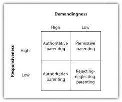 Learn about parenting styles, including how birth order matters, what to do when your styles clash, and how happy parents make happy kids. Chapter 6 Br Section D Br Early And Middle Adulthood Building Effective Lives