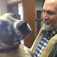 CJ Pony Parts tank relocation pictures?